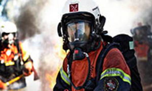 servicii-1